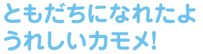 ともだちになれたよ　うれしいカモメ！