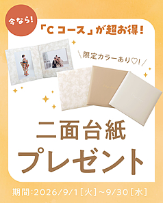 STUDIO ARC