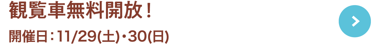 観覧車無料開放！開催日：11.29(土)・30(日)