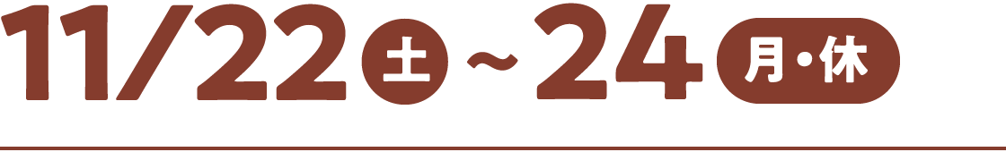 11/22(土)～24(月・休)