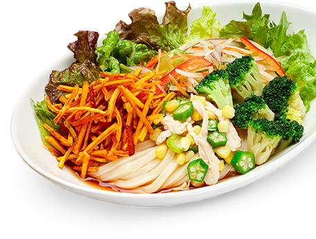 はなまるの10種野菜のサラダうどん（小）